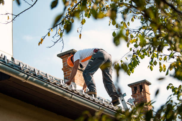 Roof Gutter Cleaning in Lewisburg, OH